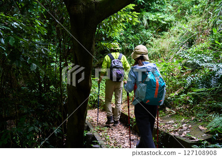 Hiking, trekking, senior, walking, mountain climbing 127108908