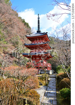A view of Mimuroto-ji Temple, the 10th temple of the Thirty-Three Temples of the Western Japan Pilgrimage in Uji, Kyoto, famous for its snake god and hydrangeas 127108994