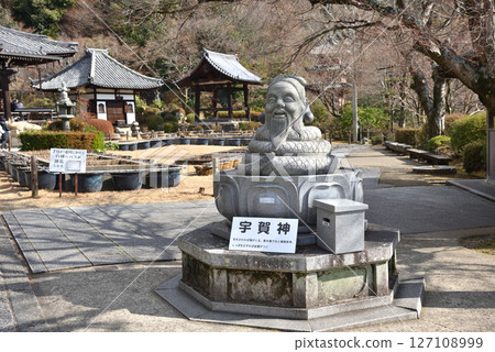 三室戶寺景色，是京都宇治西國三十三處第十座寺廟，以蛇神和繡球花聞名 127108999
