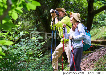 Hiking, trekking, senior, walking, mountain climbing, photography 127109040