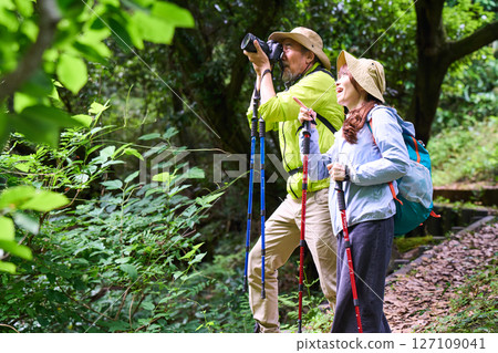 Hiking, trekking, senior, walking, mountain climbing, photography 127109041