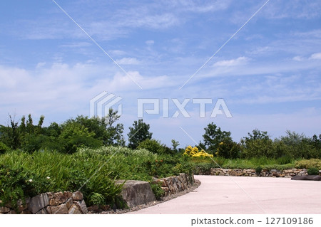 Tottori Four Seasons Walk Summer Lake Koyama Natural Garden Tottori Four Seasons Walk Summer Lake Koyama Natural Garden 127109186