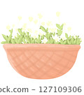 White flowers plants baskets png 127109306