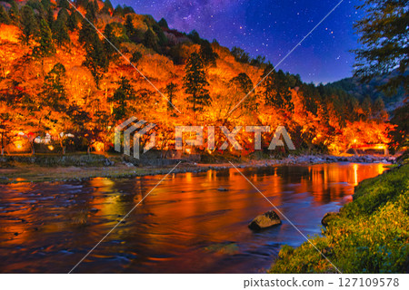 沿著Kamogawa美麗的秋葉風景照亮 127109578