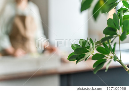 Kitchen, housewife in the kitchen, housework image Kitchen, housewife in the kitchen, housework image 127109966
