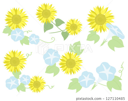 向日葵和牽牛花套裝 127110485