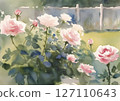 Peaceful garden scene with beautiful roses 127110643