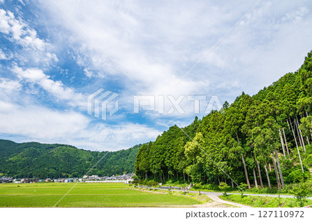 Rice field scenery in Kinomoto Town, Kohoku region, Shiga Prefecture Nagahama City 127110972