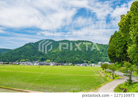 Rice field scenery in Kinomoto Town, Kohoku region, Shiga Prefecture Nagahama City Rice field scenery in Kinomoto Town, Kohoku region, Shiga Prefecture Nagahama City 127110973
