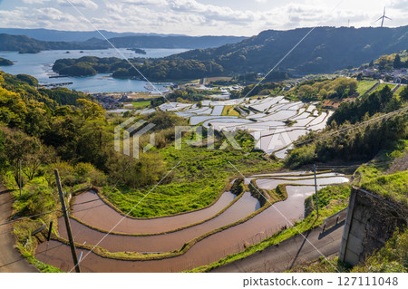 <佐賀縣>大浦的梯田和眺望伊凡裡灣的田園風光 127111048