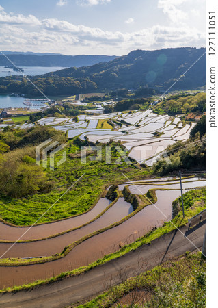 <佐賀縣>大浦的梯田和眺望伊凡裡灣的田園風光 <佐賀縣>大浦的梯田和眺望伊凡裡灣的田園風光 127111051
