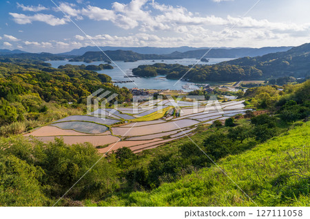 <Saga Prefecture> Rice terraces in Oura and rural scenery overlooking Imari Bay 127111058