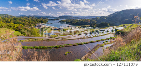 <Saga Prefecture> Rice terraces in Oura and rural scenery overlooking Imari Bay <Saga Prefecture> Rice terraces in Oura and rural scenery overlooking Imari Bay 127111079