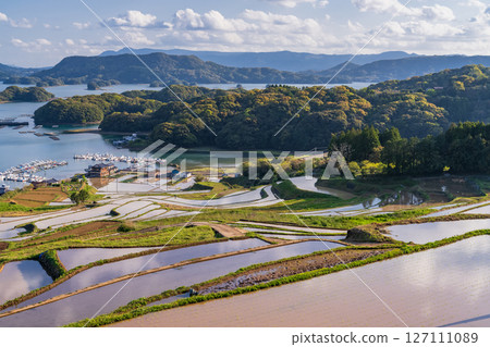 <佐賀縣>大浦的梯田和眺望伊凡裡灣的田園風光 127111089