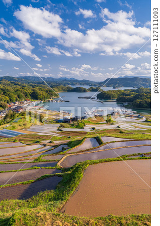 <佐賀縣>大浦的梯田和眺望伊凡裡灣的田園風光 127111093