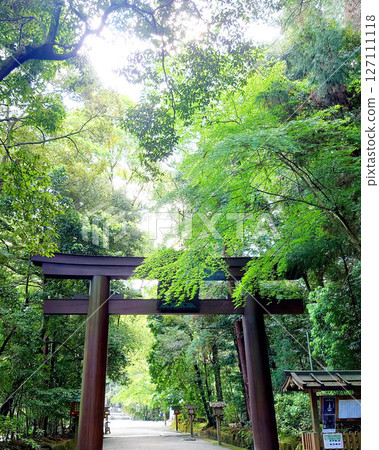 藍色的秋葉和牌坊 127111118