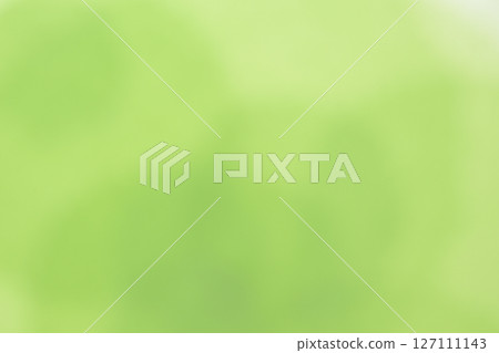 和紙製成的散景漸層 [背景材料] 127111143