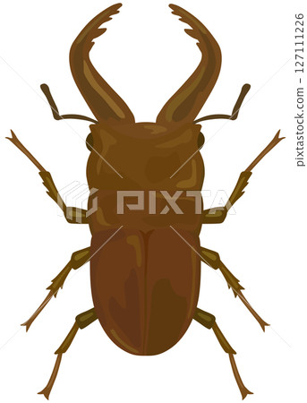 Stag beetle illustration vector material Stag beetle illustration vector material 127111226