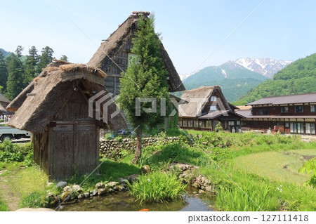 Shirakawago的風景 Shirakawago的風景 127111418