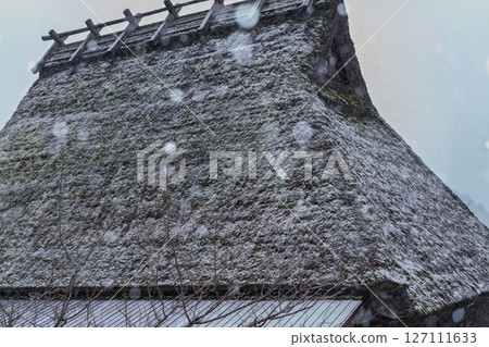 This photo was taken in Miyama-cho, Nantan-shi, Kyoto, in thatched roof village covered with snow. This photo was taken in Miyama-cho, Nantan-shi, Kyoto, in thatched roof village covered with snow. 127111633