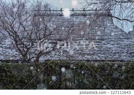 This photo was taken in Miyama-cho, Nantan-shi, Kyoto, in thatched roof village covered with snow. 127111643