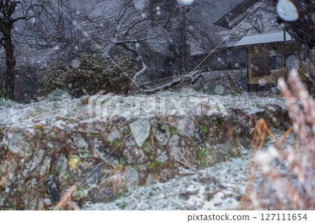 This photo was taken in Miyama-cho, Nantan-shi, Kyoto, in thatched roof village covered with snow. 127111654