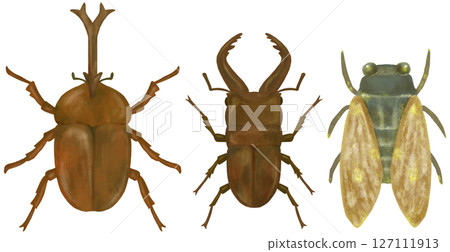 Summer insects illustration set 127111913