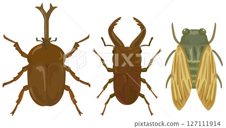 Summer insect illustration set vector material 127111914