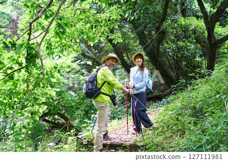 Hiking, trekking, senior, walking, mountain climbing 127111981