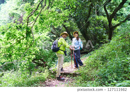 Hiking, trekking, senior, walking, mountain climbing 127111982