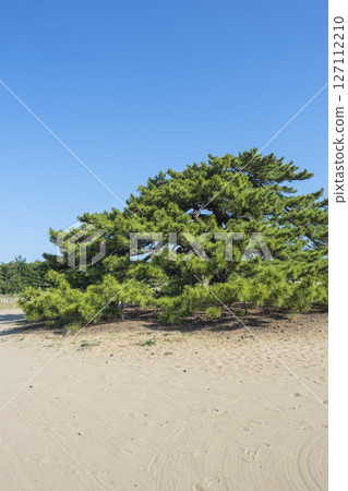 Tottori Sand Dunes, Tottori Prefecture Tottori Sand Dunes, Tottori Prefecture 127112210