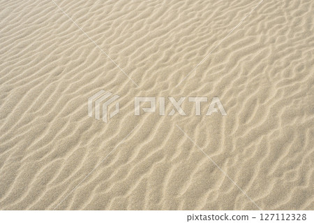 Tottori sand dunes and their patterns in spring Tottori prefecture Tottori sand dunes Tottori sand dunes and their patterns in spring Tottori prefecture Tottori sand dunes 127112328