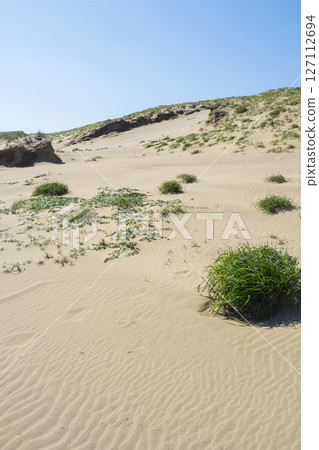 鳥取沙丘及其在春季鳥取縣鳥取沙丘的形態 鳥取沙丘及其在春季鳥取縣鳥取沙丘的形態 127112694