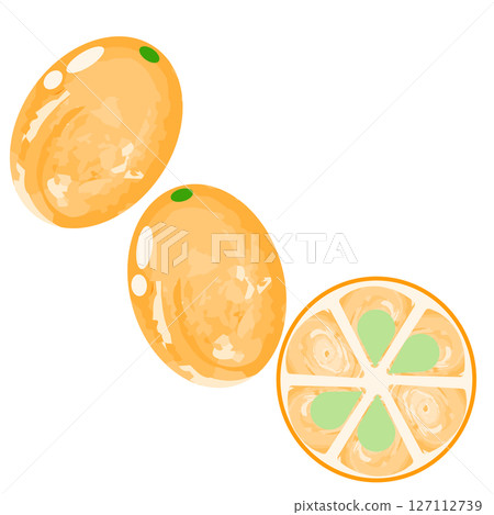 簡單的金橘圖示水彩風格 簡單的金橘圖示水彩風格 127112739