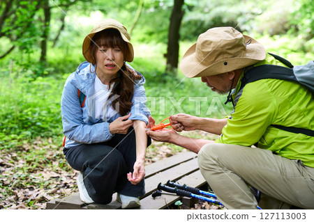 麻煩、危險、蜜蜂螫傷、健行、健行、老人、散步、爬山 127113003