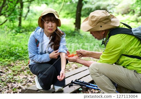 麻煩、危險、蜜蜂螫傷、健行、健行、老人、散步、爬山 127113004