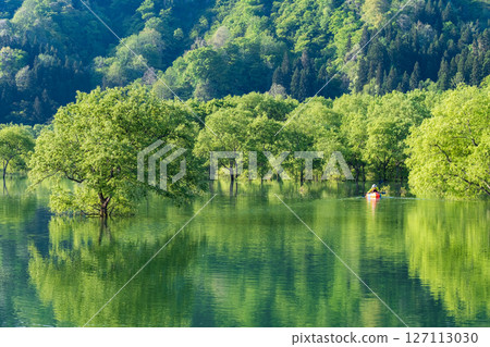 Submerged forest of Shirakawa lake 127113030