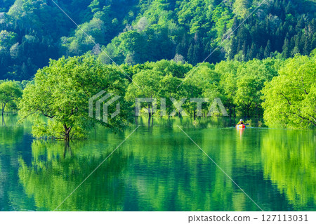 白川湖被淹沒的森林 127113031