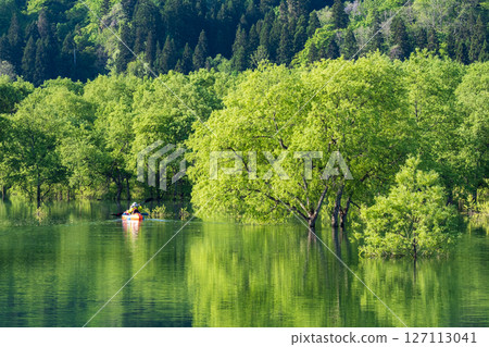 白川湖被淹沒的森林 127113041