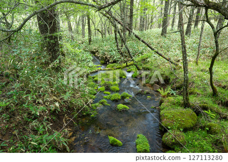 Landscape with Brooks Landscape with Brooks 127113280