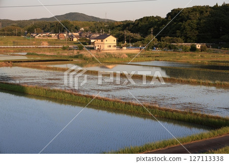 Sunset in the Japanese countryside as rice planting begins in June 127113338