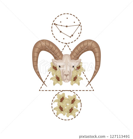 Illustration of Capricorn Illustration of Capricorn 127113491