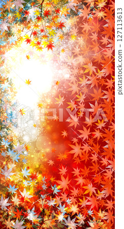  Autumn leaves maple autumn background 127113613