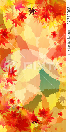  Autumn leaves maple autumn background 127113624
