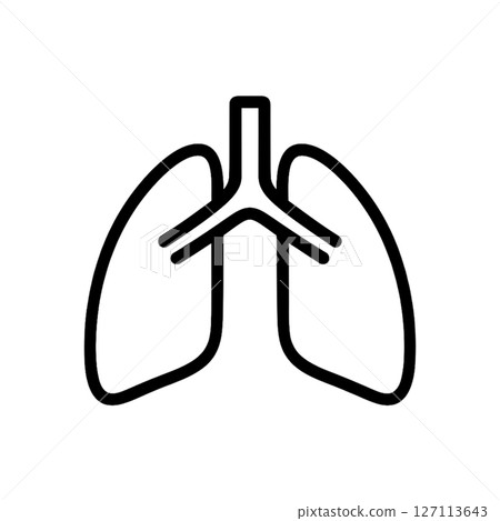 Lung line drawing icon, illustration, medical, no background, simple, material 127113643