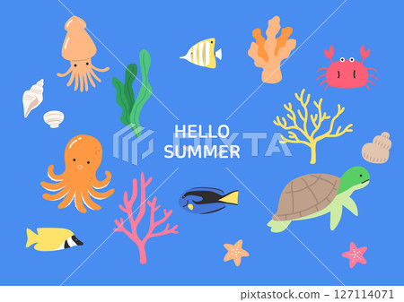 Vector illustration of sea creatures. Vector illustration of sea creatures. 127114071