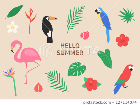 Vector illustration of tropical plants and wild animals. Vector illustration of tropical plants and wild animals. 127114074