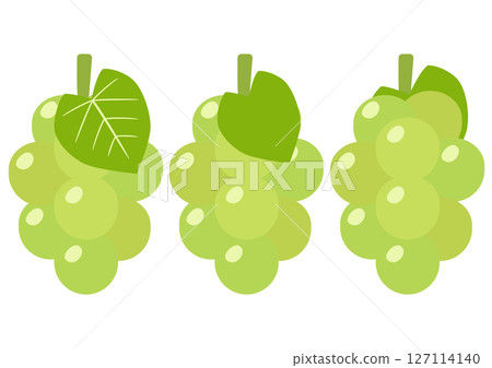 閃耀麝香葡萄酒和樹葉套裝 127114140