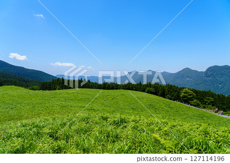 Soni Plateau in early summer: View to the north from the promenade on the north side of Okame Pond③ 127114196