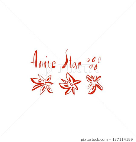 Hand drawn composition of anise and herbs with spices lettering in vibrant red line style on white background Hand drawn composition of anise and herbs with spices lettering in vibrant red line style on white background 127114199